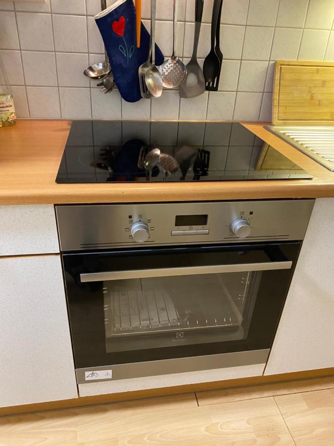 Dachsteinblick Apartment Ramsau am Dachstein Dış mekan fotoğraf